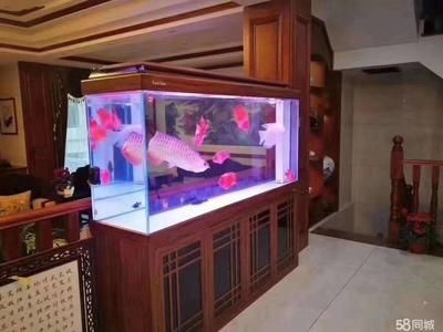 森森魚缸安裝視頻教程h2t（森森魚缸安裝視頻教程h2t,關于森森魚缸安裝視頻教程）
