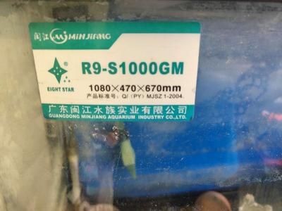 廣東閩江水族實(shí)業(yè)有限公司魚(yú)缸（廣東閩江水族實(shí)業(yè)有限公司水族產(chǎn)業(yè)有限公司水族箱養(yǎng)護(hù)與維護(hù)指南）