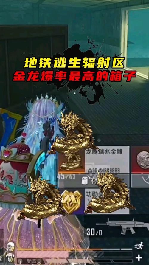 地鐵逃生金龍圖片 地鐵逃生金龍圖片 龍魚論壇 第7張