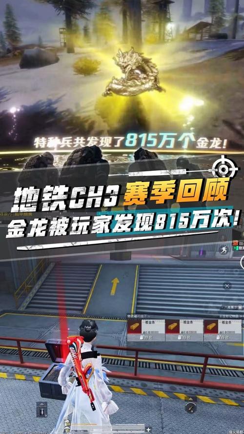 地鐵逃生金龍圖片 地鐵逃生金龍圖片 龍魚論壇 第16張