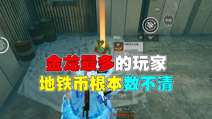 地鐵逃生金龍圖片 地鐵逃生金龍圖片 龍魚論壇 第13張