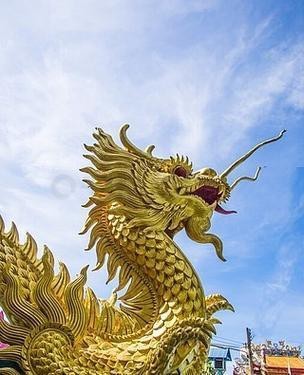 地鐵逃生金龍圖片 地鐵逃生金龍圖片 龍魚論壇 第25張