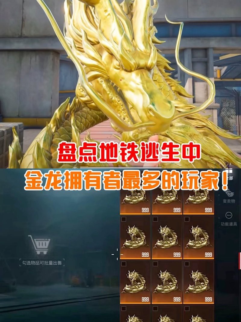 地鐵逃生金龍圖片 地鐵逃生金龍圖片 龍魚論壇 第23張
