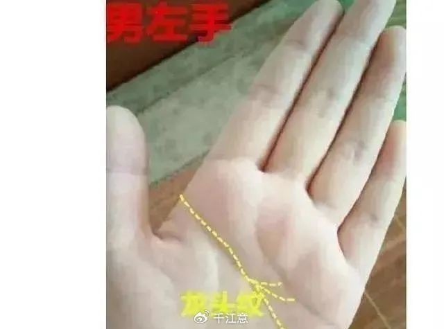 龍頭紋手相