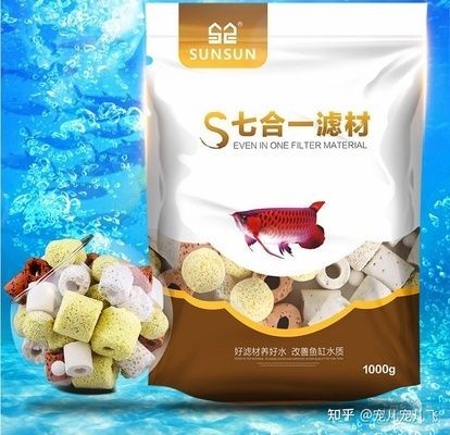 魚缸過濾系統選擇魚缸過濾系統的選擇指南：如何選擇魚缸過濾器