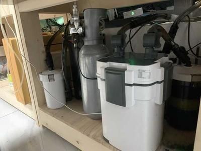 高效魚缸過濾器性價比排行：性價比較高的魚缸過濾器推薦 高效魚缸過濾器性價比排行：性價比較高的魚缸過濾器推薦 魚缸百科 第5張