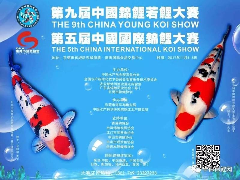 觀賞魚比賽規則