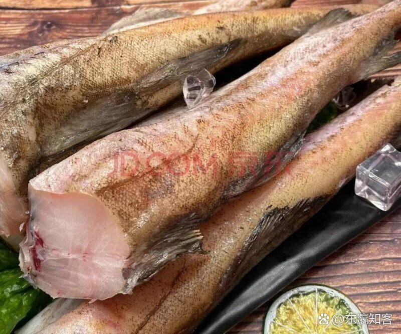 市場上無頭鱈魚到底是什么魚 市場上無頭鱈魚到底是什么魚 龍魚論壇 第3張