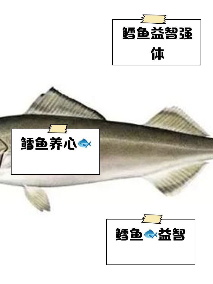 市場上無頭鱈魚到底是什么魚 市場上無頭鱈魚到底是什么魚 龍魚論壇 第11張