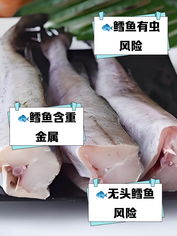 市場上無頭鱈魚到底是什么魚 市場上無頭鱈魚到底是什么魚 龍魚論壇 第14張