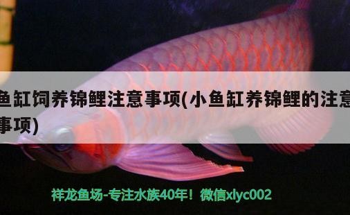 大連家具市場筱漁家生態水族店 大連家具市場筱漁家生態水族店 全國水族館企業名錄 第2張