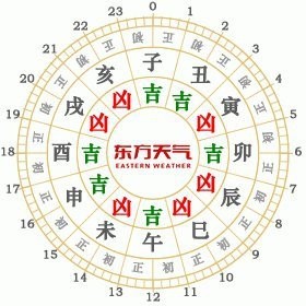鳳凰適合什么屬相人 鳳凰適合什么屬相人 龍魚論壇 第7張