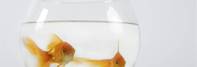<strong><mark>牟平</mark></strong>區(qū)海星水族店（<strong><mark>牟平</mark></strong>區(qū)海星水族店電話）