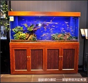 底濾魚缸的尺寸可以根據個人需求和選擇合適的底濾魚缸：如何選擇底濾魚缸 底濾魚缸的尺寸可以根據個人需求和選擇合適的底濾魚缸：如何選擇底濾魚缸 魚缸百科 第1張