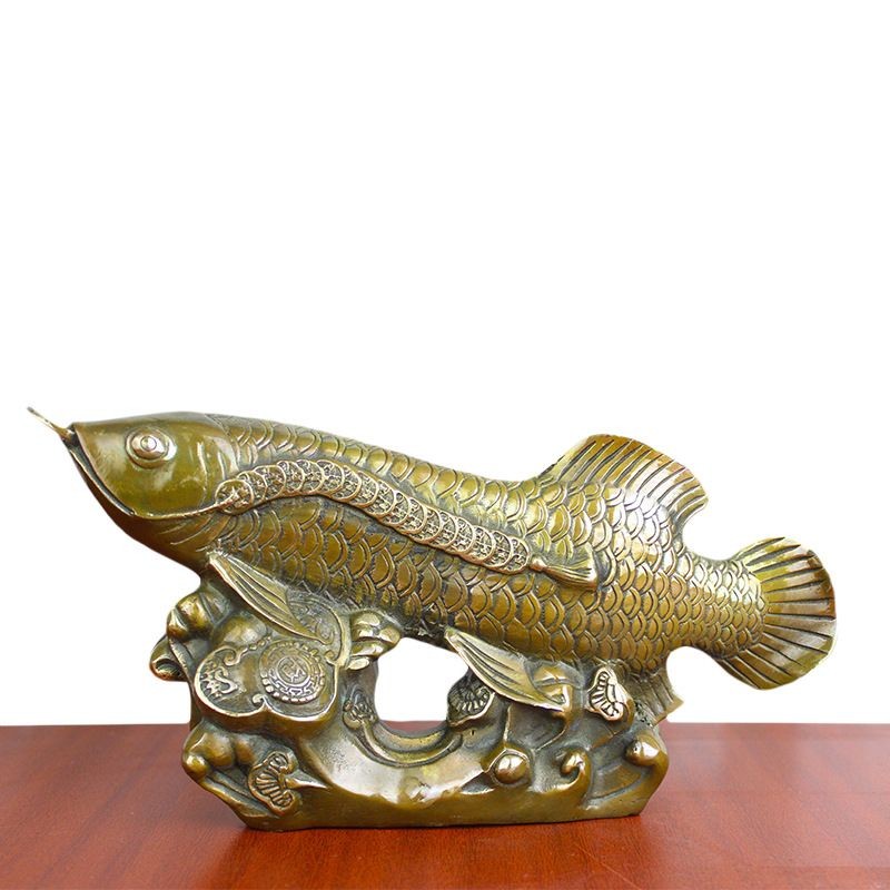 古銅金龍魚：古銅金龍魚是一種美麗的硬仆骨舌魚也被稱為亞洲龍魚 古銅金龍魚：古銅金龍魚是一種美麗的硬仆骨舌魚也被稱為亞洲龍魚 龍魚百科 第2張