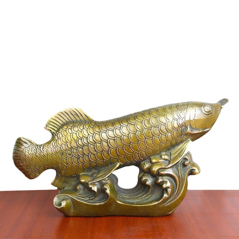 古銅金龍魚：古銅金龍魚是一種美麗的硬仆骨舌魚也被稱為亞洲龍魚 古銅金龍魚：古銅金龍魚是一種美麗的硬仆骨舌魚也被稱為亞洲龍魚 龍魚百科 第1張
