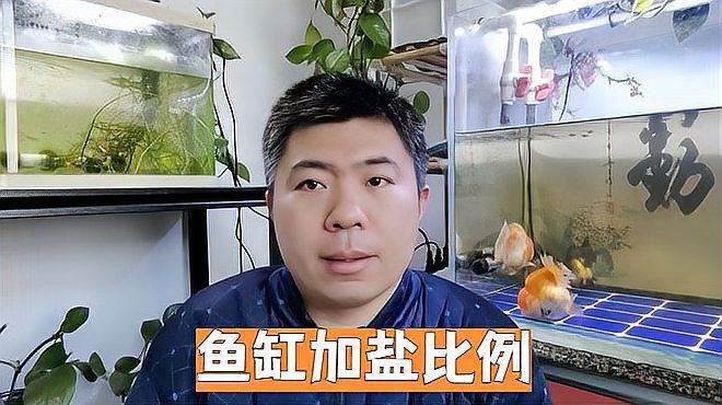 銀龍魚趴缸可以加鹽嗎？