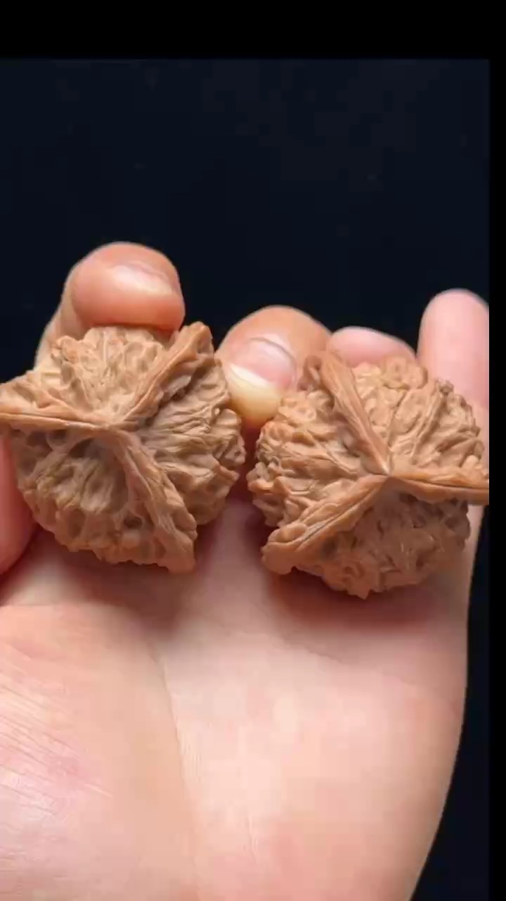 盤山三棱正奔貨頭對