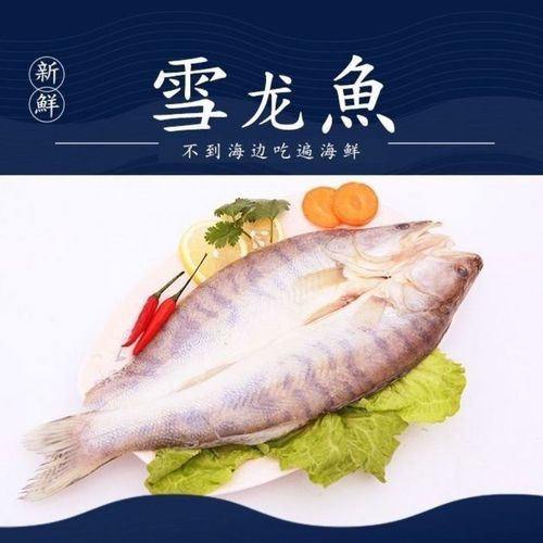 天山龍魚圖片欣賞大全高清