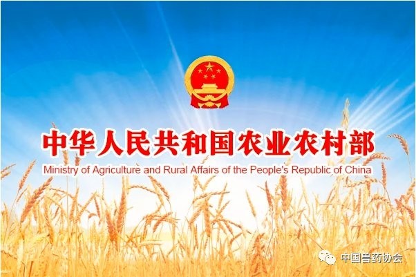 如何獲取更多寵物展會信息？ 如何獲取更多寵物展會信息？ 2025長城杯龍魚大賽 第6張