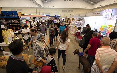 如何獲取更多寵物展會信息？ 如何獲取更多寵物展會信息？ 2025長城杯龍魚大賽 第5張