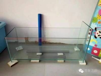魚缸底濾diy指南自制魚缸底濾diy指南：自制魚缸底濾diy指南