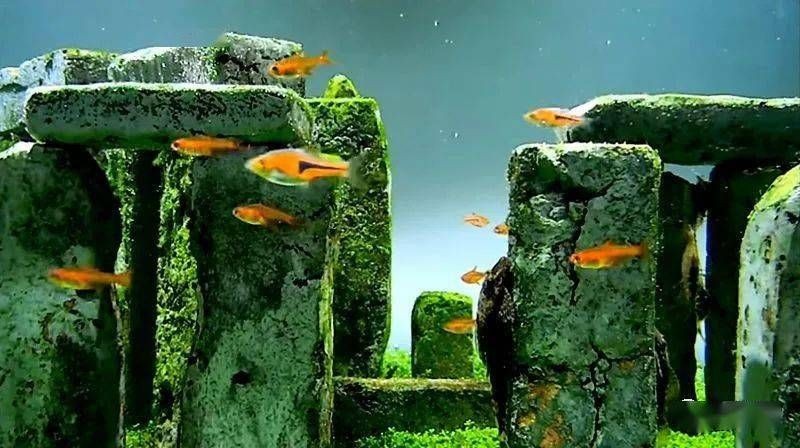 紅磚魚缸的養護技巧如何選擇合適的紅磚：紅磚魚缸養護技巧養護技巧養護紅磚魚缸的養護技巧
