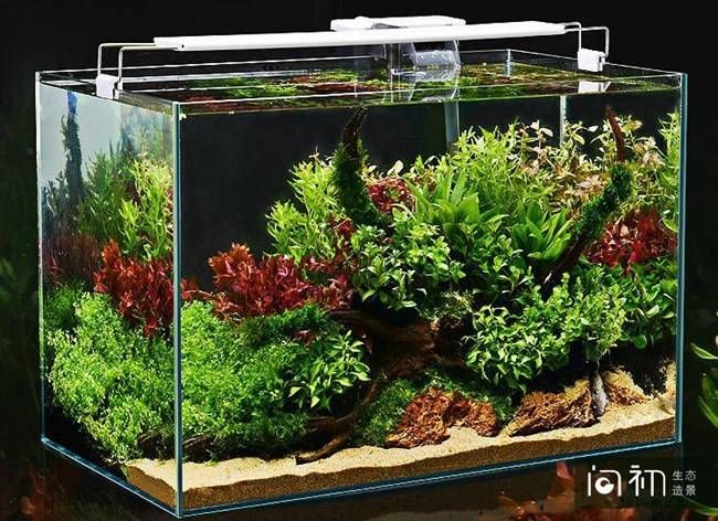 紅磚魚缸的養護技巧如何選擇合適的紅磚：紅磚魚缸養護技巧養護技巧養護紅磚魚缸的養護技巧