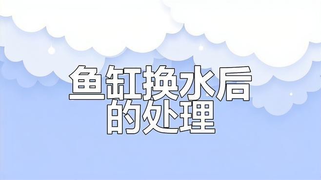 金龍魚換缸后需要多久換一次水？