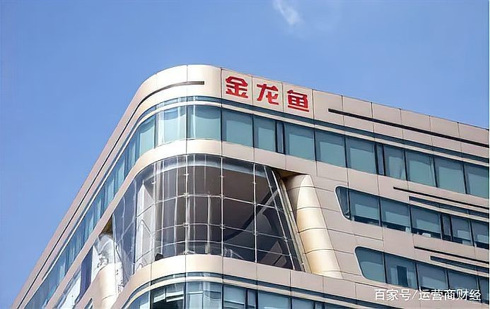 金龍魚深圳分公司副總 金龍魚深圳分公司副總 龍魚百科 第7張