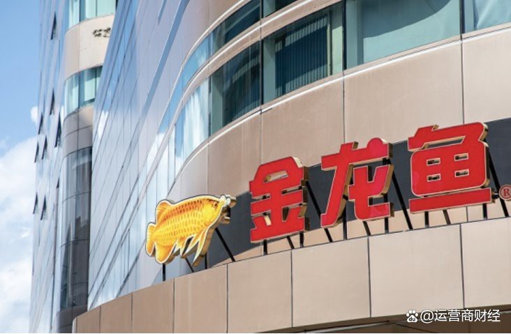金龍魚深圳分公司副總 金龍魚深圳分公司副總 龍魚百科 第9張