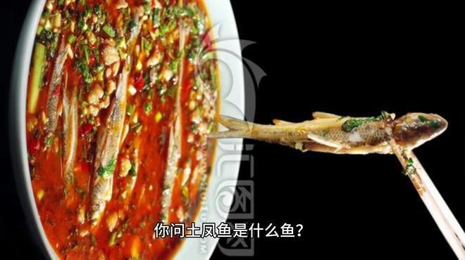 四川的土鳳魚叫什么