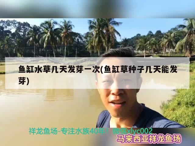 鼓樓區(qū)迪寶水族店，鼓樓區(qū)迪寶水族店地址