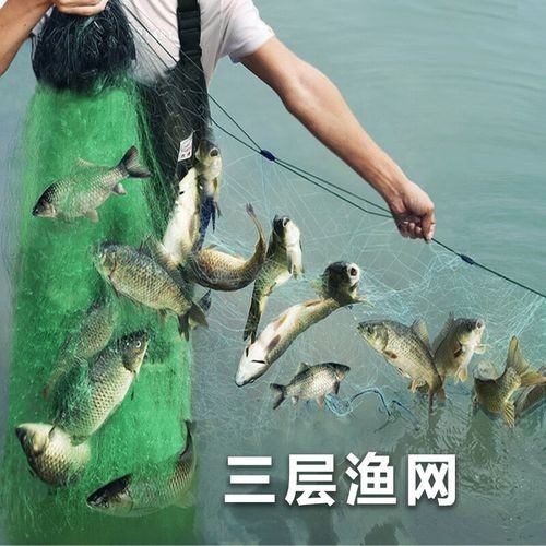 哪里可以買到高質(zhì)量的漁網(wǎng)？