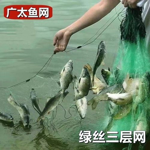 哪里可以買到高質(zhì)量的漁網(wǎng)？