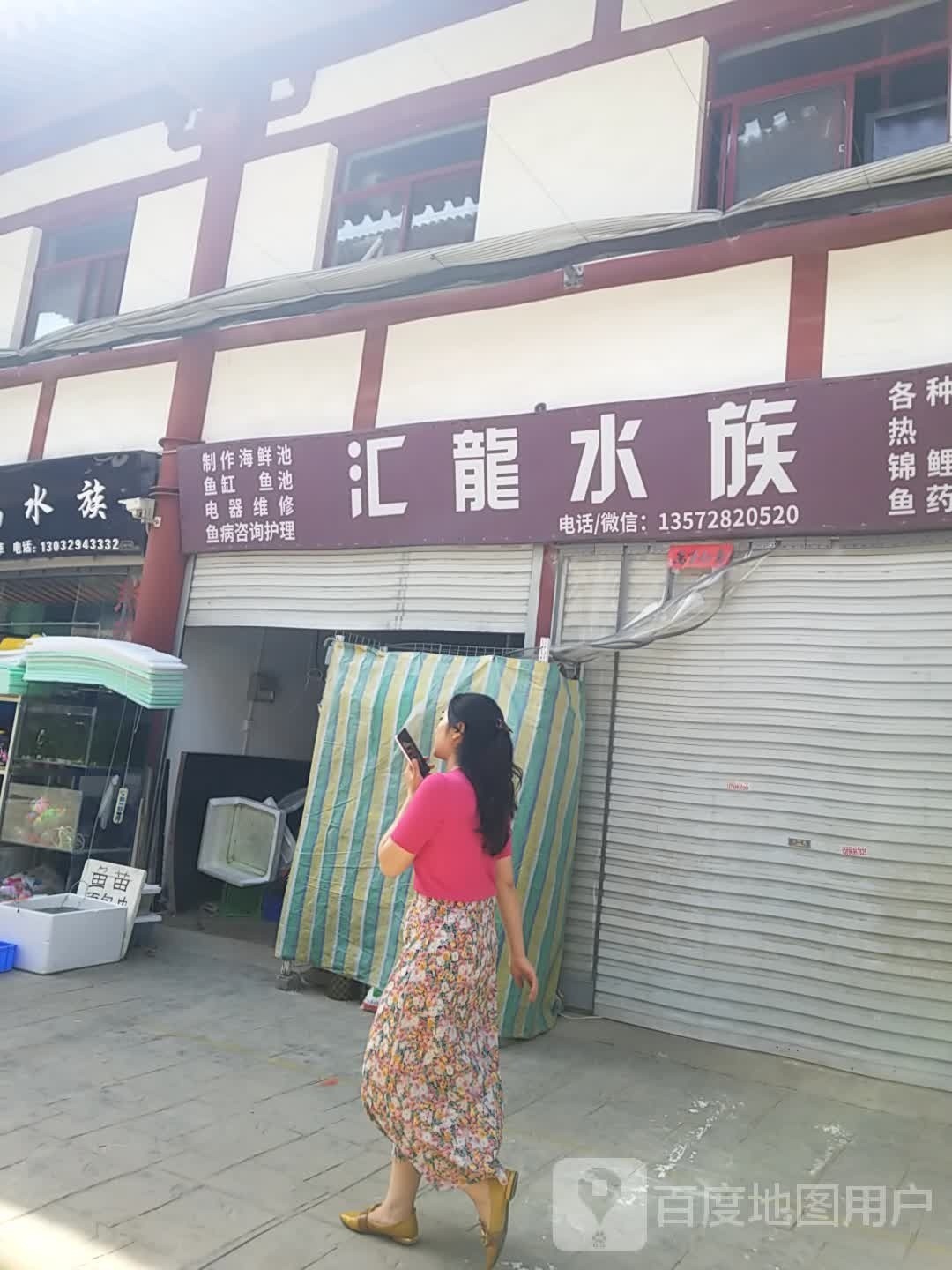 觀賞魚龍魚水族店一般在哪里？