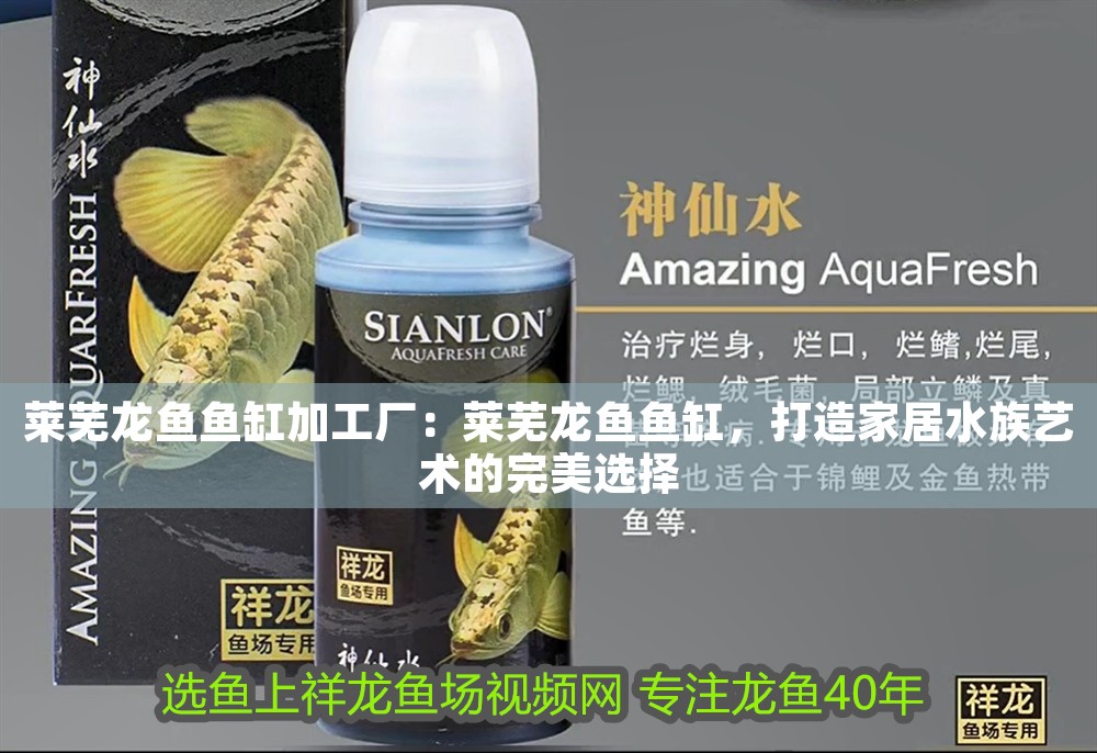 萊蕪龍魚魚缸加工廠：萊蕪龍魚魚缸，打造家居水族藝術的完美選擇