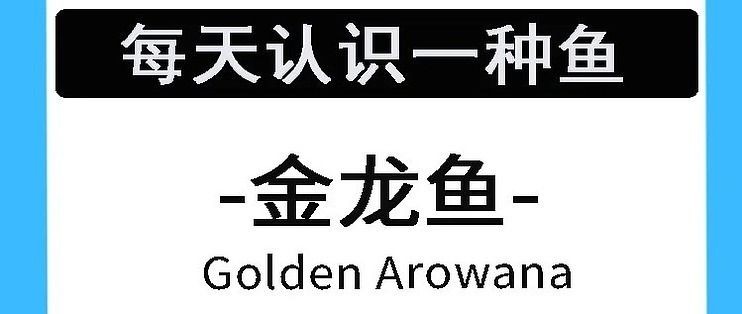 金龍魚最高溫度多少