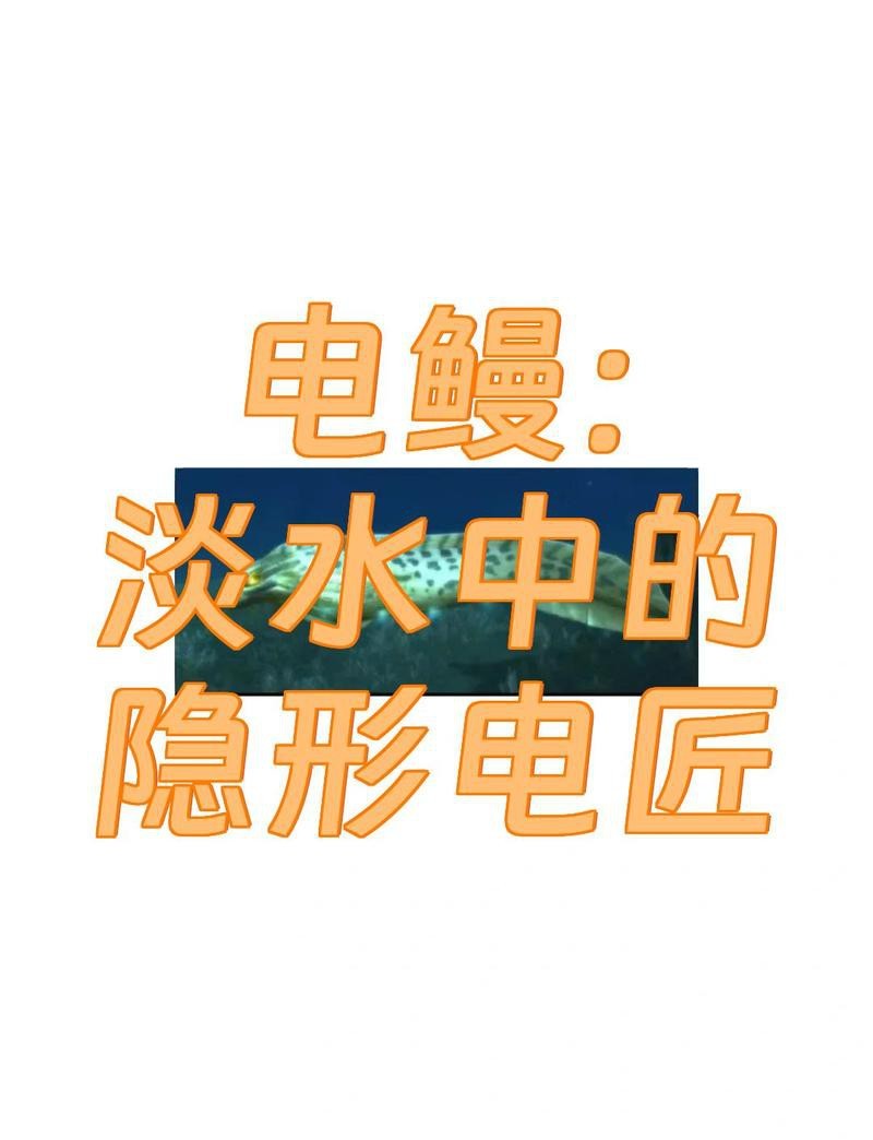 魚(yú)缸里加了凈水劑什么時(shí)候水質(zhì)清澈，魚(yú)缸里加了凈水劑：魚(yú)缸使用凈水劑后水變渾濁怎么辦
