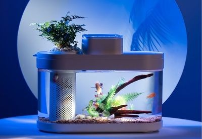 魚缸拆卸圖解大全：魚缸拆卸圖解 魚缸拆卸圖解大全：魚缸拆卸圖解 魚缸百科 第5張