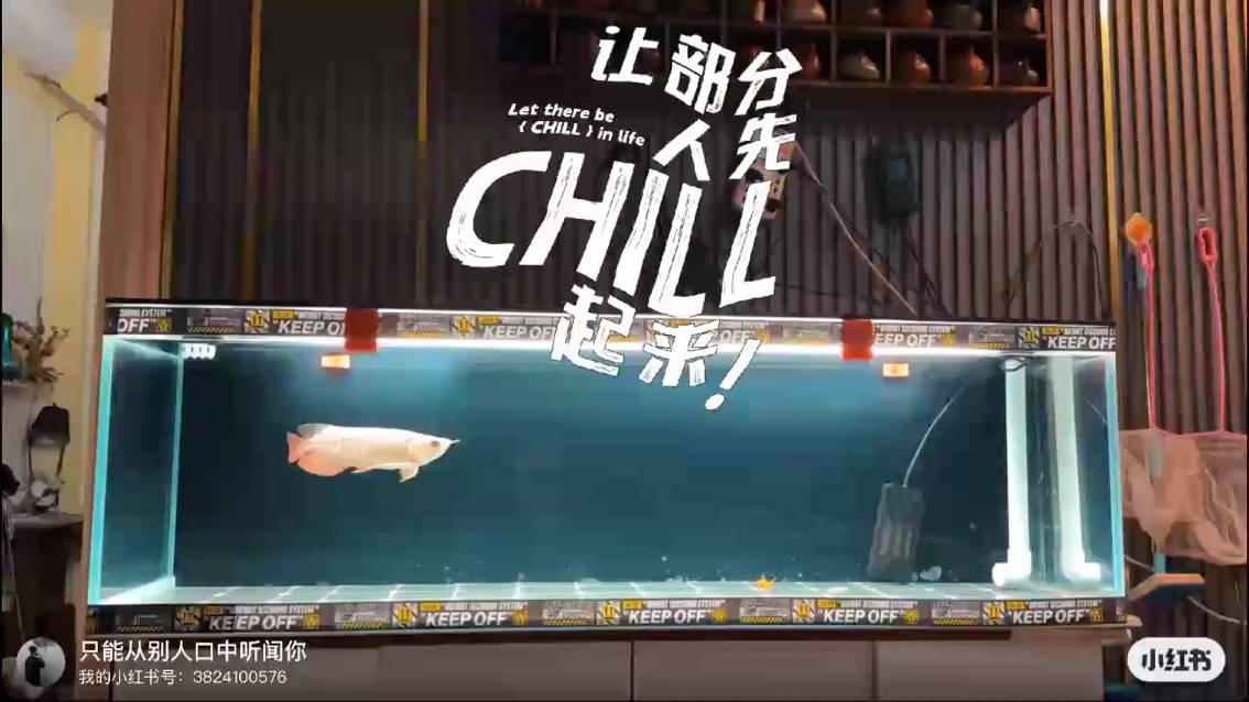 小卡拉米