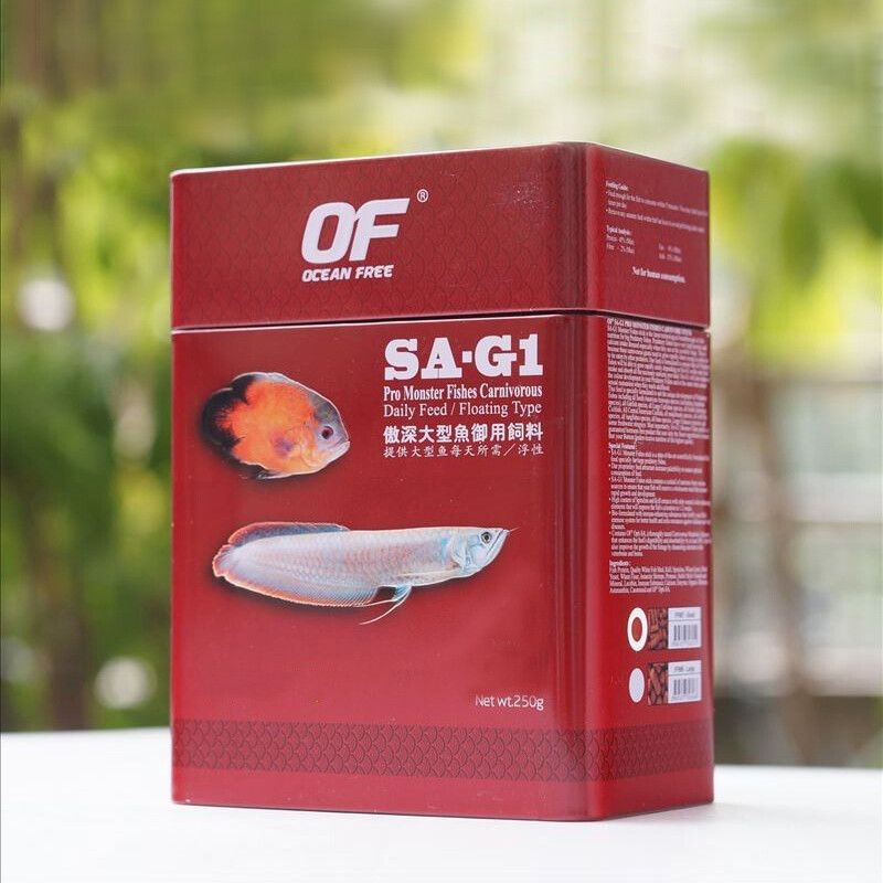 銀龍魚 巴西亞（銀龍魚和巴西亞是否適合混養，）