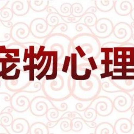 龍魚討厭主人的表現(xiàn)