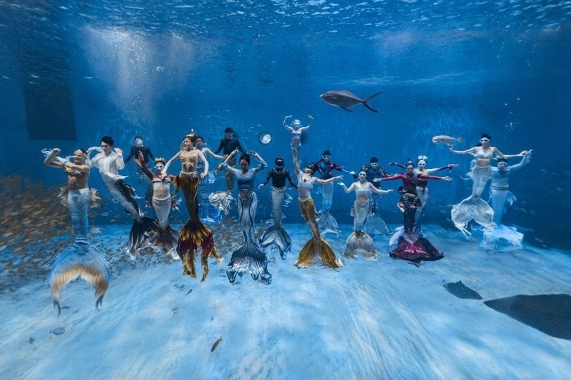 上海龍魚比賽的地點在哪里? 2025長城杯龍魚大賽 第10張 上海龍魚比賽的地點在哪里? 上海龍魚比賽的地點在哪里? 2025長城杯龍魚大賽 第10張