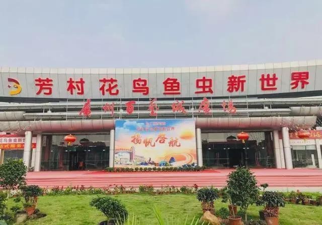 龍魚大賽的獎(jiǎng)金是多少？ 龍魚大賽的獎(jiǎng)金是多少？ 2025長(zhǎng)城杯龍魚大賽 第4張