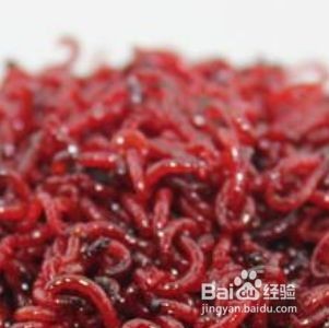 魚(yú)缸里面有紅秀怎么辦：魚(yú)缸里出現(xiàn)紅線蟲(chóng)的處理方法或許對(duì)魚(yú)缸有一定幫助 魚(yú)缸里面有紅秀怎么辦：魚(yú)缸里出現(xiàn)紅線蟲(chóng)的處理方法或許對(duì)魚(yú)缸有一定幫助 魚(yú)缸百科 第3張
