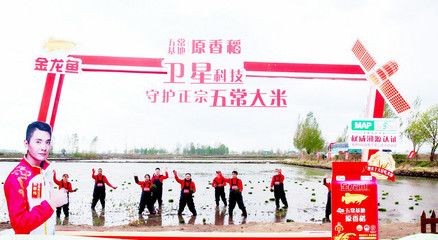 世界上最大金龍魚種植基地：世界上最大的金龍魚種植基地