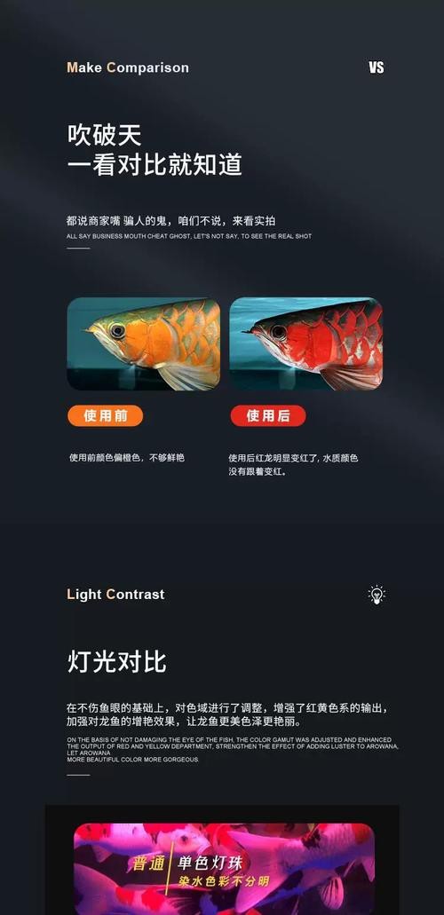 紅龍魚(yú)發(fā)色一定要用燈照嗎圖片