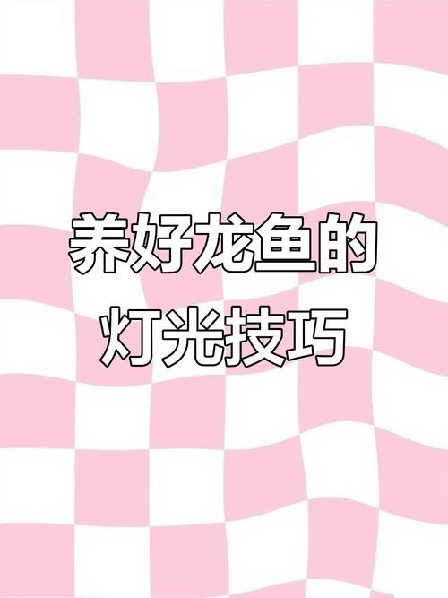 紅龍魚(yú)發(fā)色一定要用燈照嗎圖片