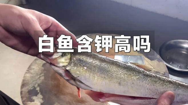 白龍魚吃什么最好吃